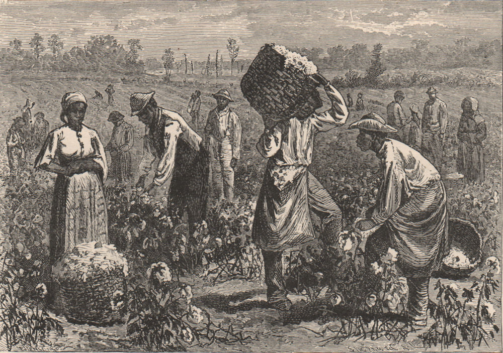 SOUTHERN USA. Scene on a Cotton Plantation 1882 old antique print picture